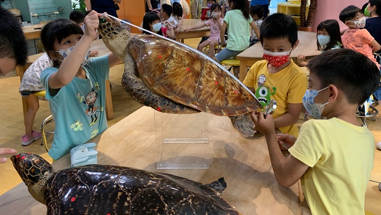 幼兒園：小海龜的超級任務(7/26-27)-圖片129