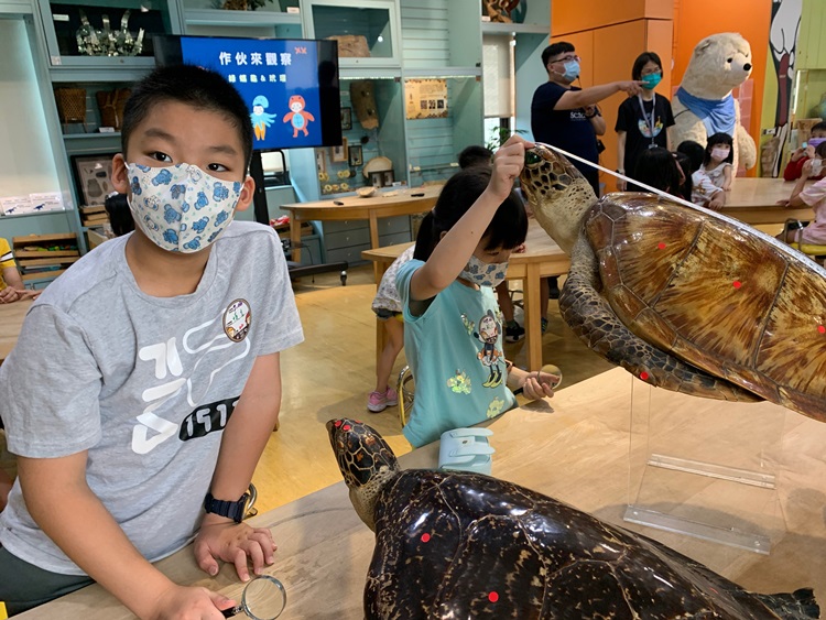 幼兒園：小海龜的超級任務(7/26-27)-圖片130
