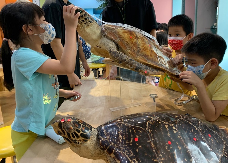 幼兒園：小海龜的超級任務(7/26-27)-圖片131