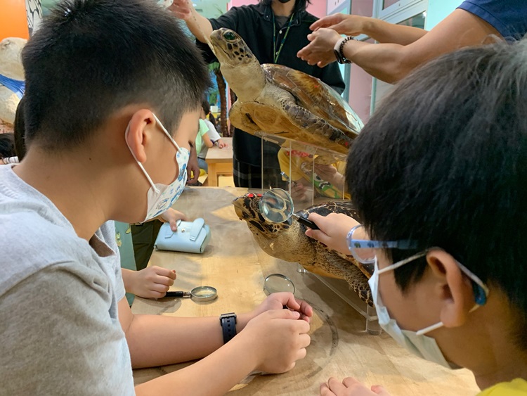 幼兒園：小海龜的超級任務(7/26-27)-圖片132