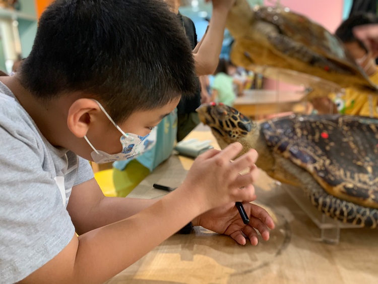 幼兒園：小海龜的超級任務(7/26-27)-圖片133