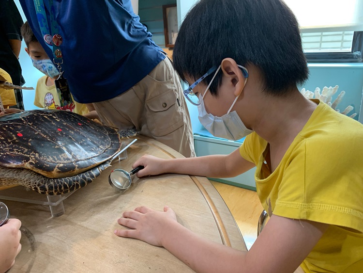 幼兒園：小海龜的超級任務(7/26-27)-圖片134