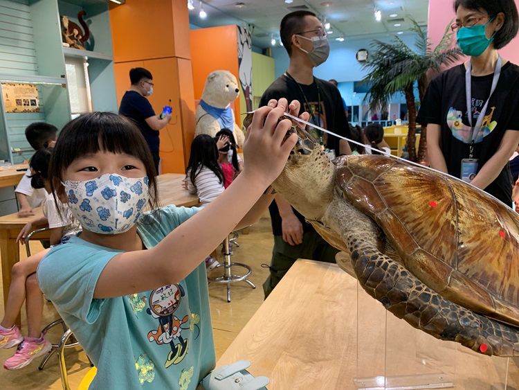 幼兒園：小海龜的超級任務(7/26-27)-圖片135