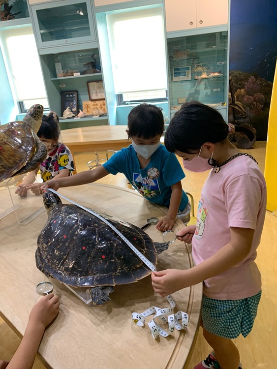 幼兒園：小海龜的超級任務(7/26-27)-圖片136