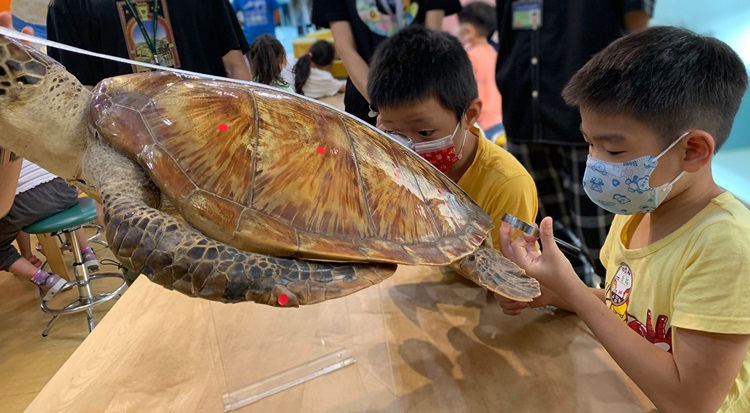 幼兒園：小海龜的超級任務(7/26-27)-圖片137