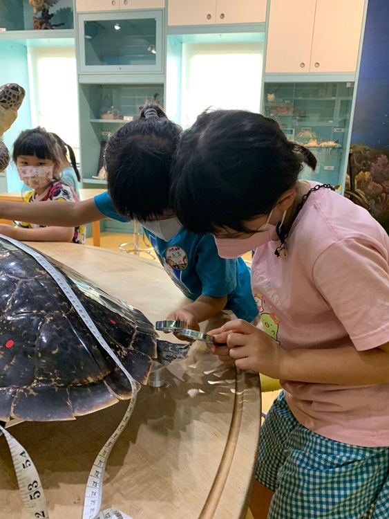 幼兒園：小海龜的超級任務(7/26-27)-圖片147