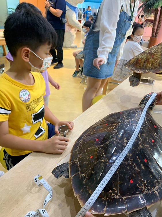 幼兒園：小海龜的超級任務(7/26-27)-圖片158