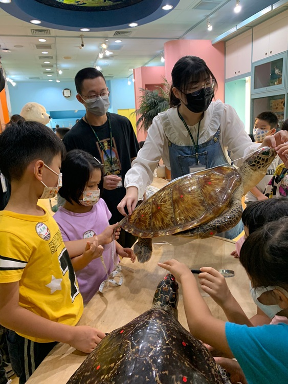 幼兒園：小海龜的超級任務(7/26-27)-圖片169