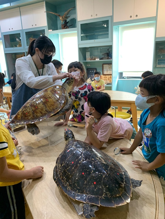 幼兒園：小海龜的超級任務(7/26-27)-圖片180