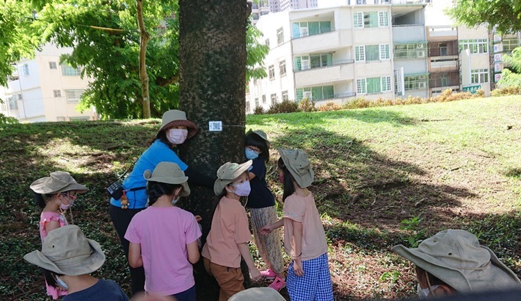 幼兒園：綠葉仙蹤(8/4-5)-圖片1