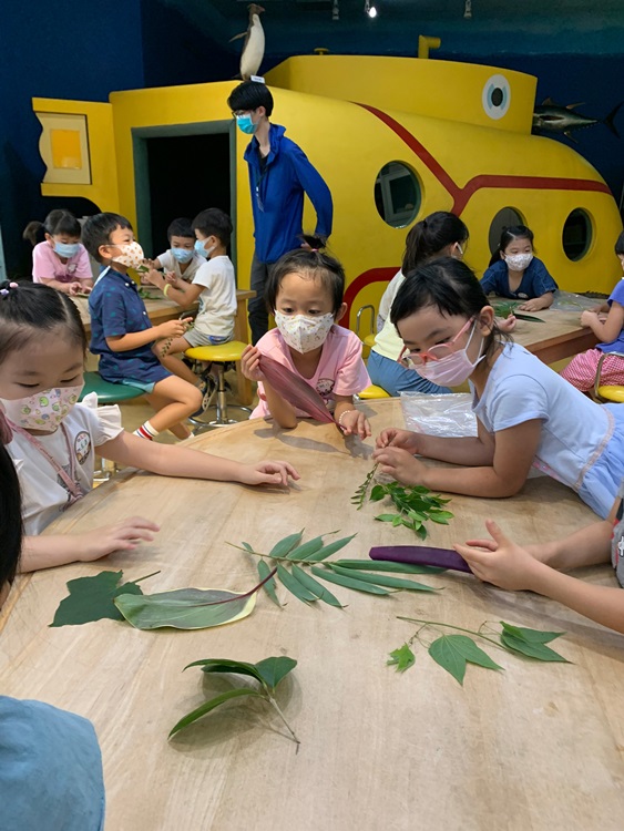 幼兒園：綠葉仙蹤(8/4-5)-圖片2