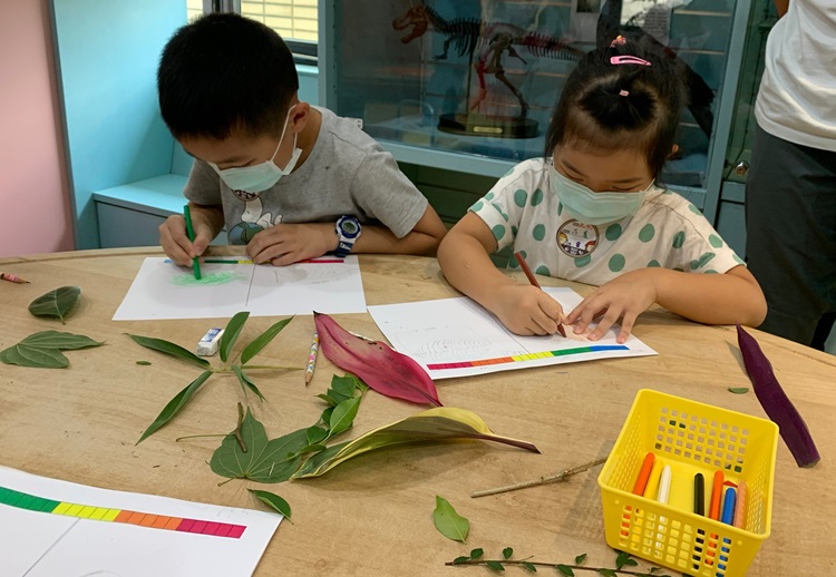 幼兒園：綠葉仙蹤(8/4-5)-圖片4