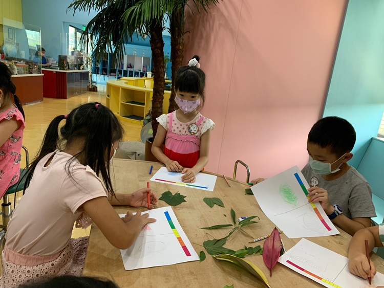 幼兒園：綠葉仙蹤(8/4-5)-圖片5