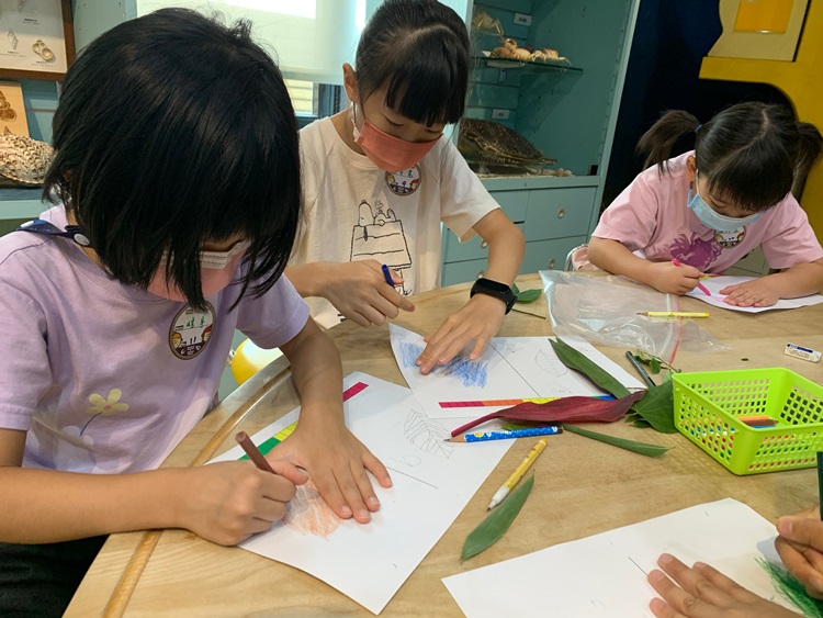 幼兒園：綠葉仙蹤(8/4-5)-圖片8