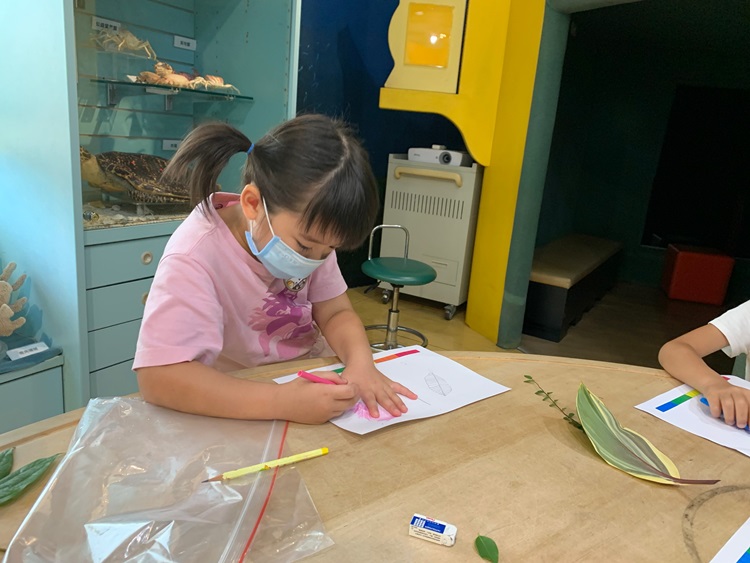幼兒園：綠葉仙蹤(8/4-5)-圖片9