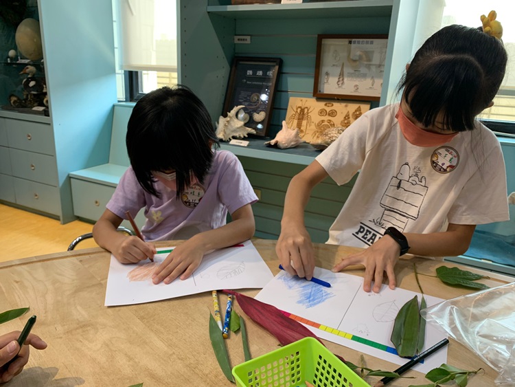 幼兒園：綠葉仙蹤(8/4-5)-圖片11