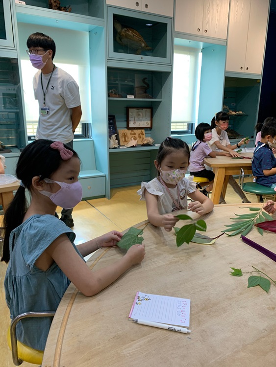 幼兒園：綠葉仙蹤(8/4-5)-圖片13
