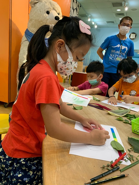 幼兒園：綠葉仙蹤(8/4-5)-圖片23