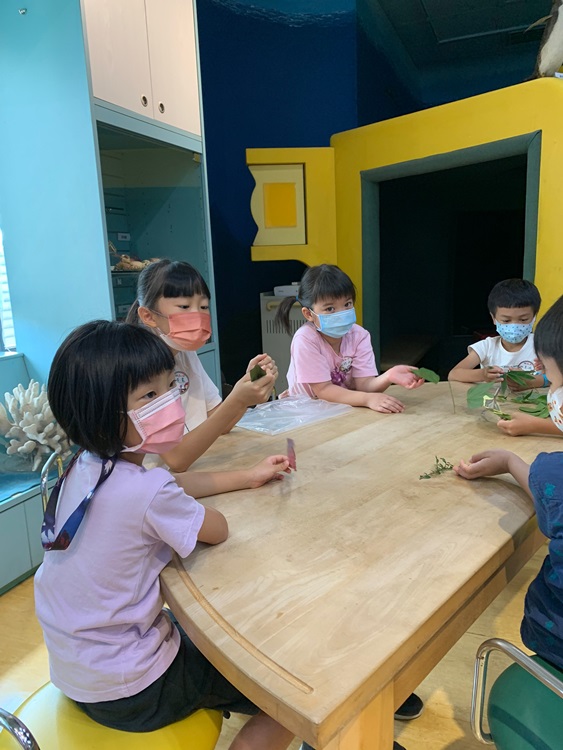 幼兒園：綠葉仙蹤(8/4-5)-圖片24