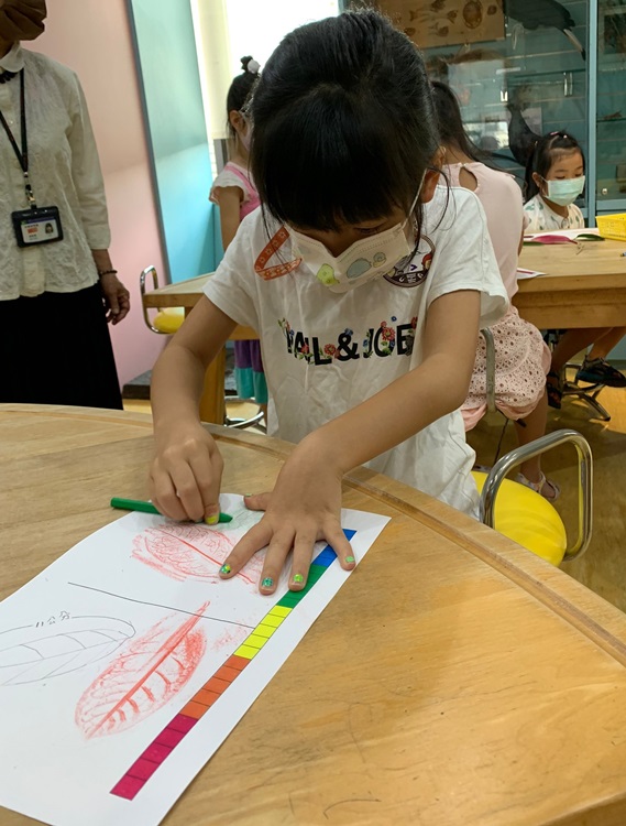 幼兒園：綠葉仙蹤(8/4-5)-圖片25