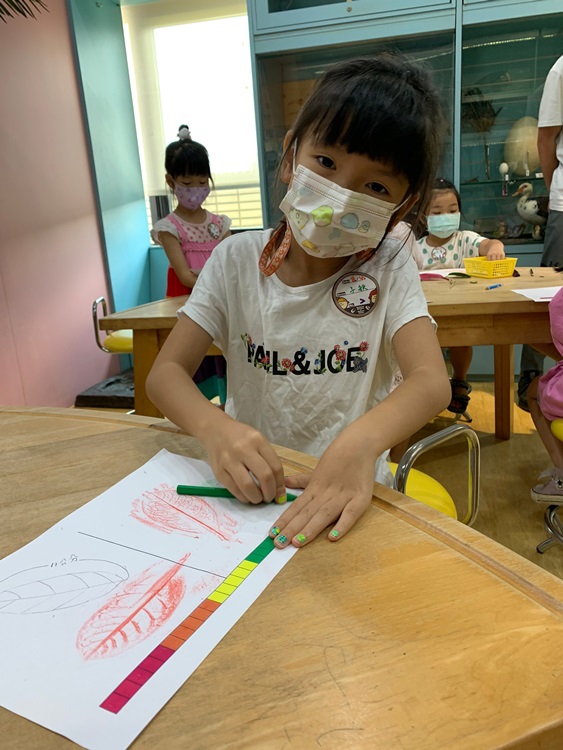 幼兒園：綠葉仙蹤(8/4-5)-圖片26