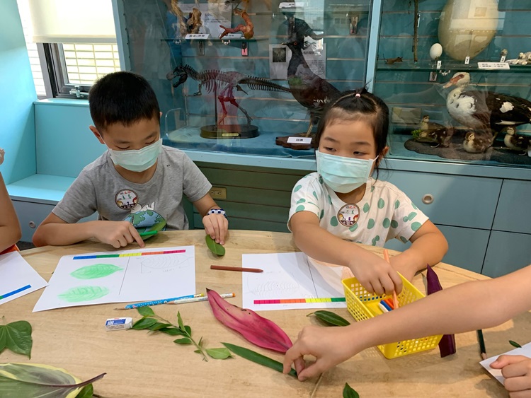 幼兒園：綠葉仙蹤(8/4-5)-圖片27