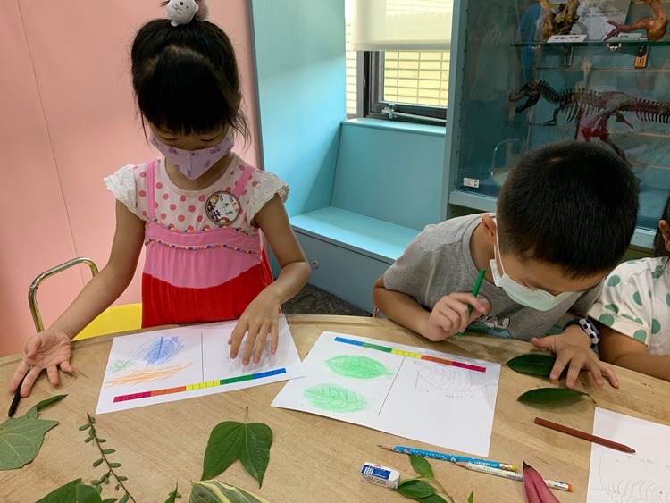 幼兒園：綠葉仙蹤(8/4-5)-圖片28