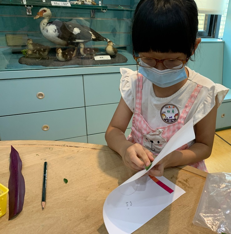 幼兒園：綠葉仙蹤(8/4-5)-圖片29