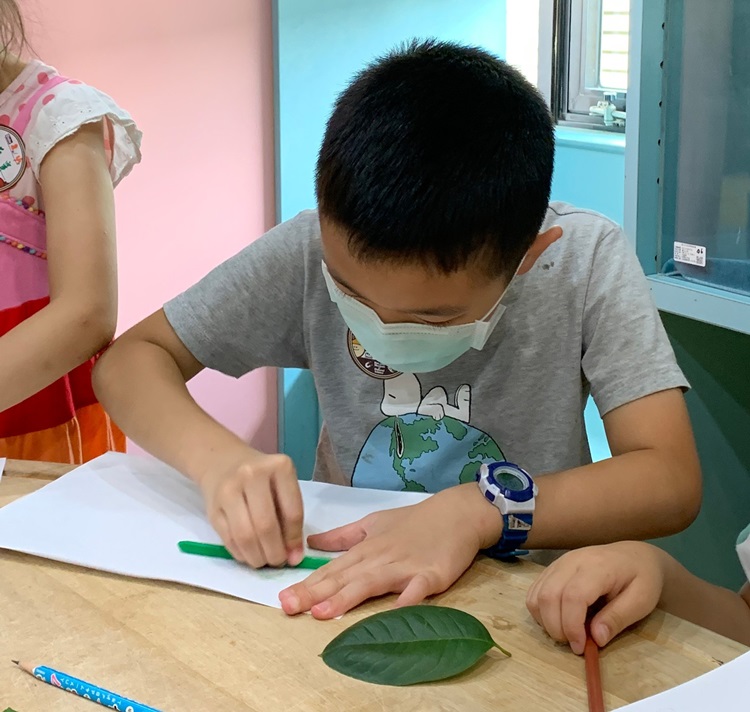 幼兒園：綠葉仙蹤(8/4-5)-圖片32
