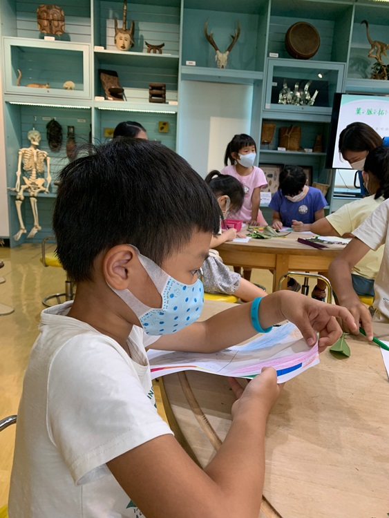 幼兒園：綠葉仙蹤(8/4-5)-圖片34