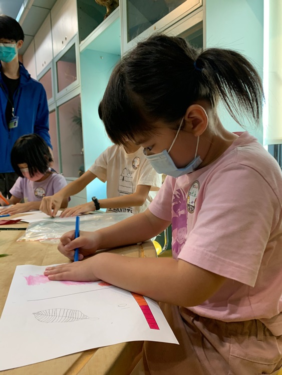 幼兒園：綠葉仙蹤(8/4-5)-圖片37