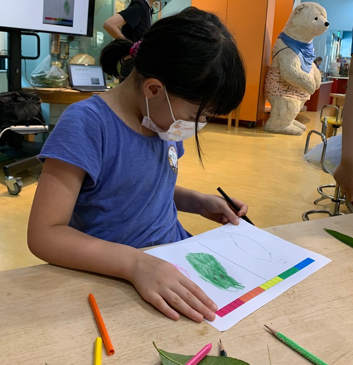 幼兒園：綠葉仙蹤(8/4-5)-圖片43