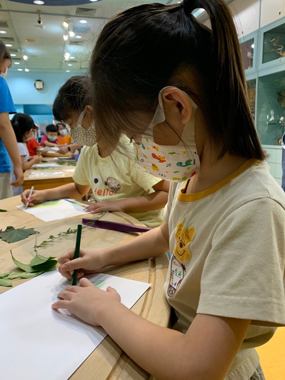 幼兒園：綠葉仙蹤(8/4-5)-圖片44