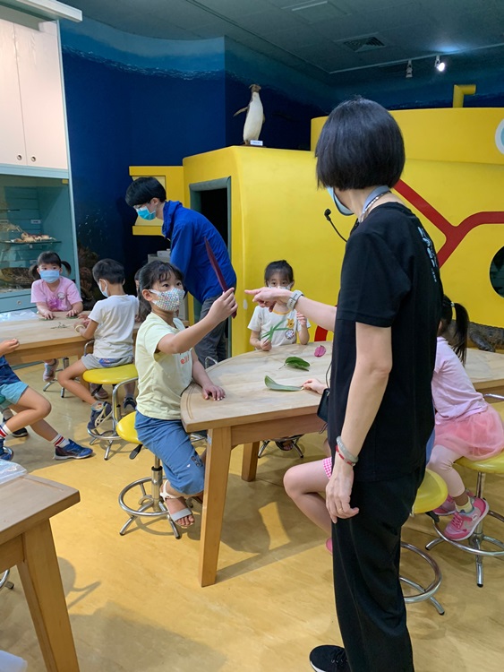 幼兒園：綠葉仙蹤(8/4-5)-圖片46