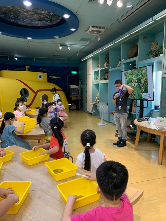 幼兒園：綠葉仙蹤(8/4-5)-圖片48