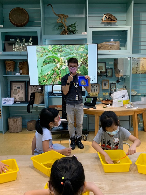 幼兒園：綠葉仙蹤(8/4-5)-圖片49
