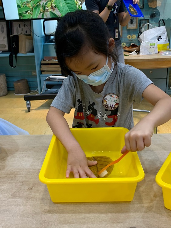 幼兒園：綠葉仙蹤(8/4-5)-圖片50