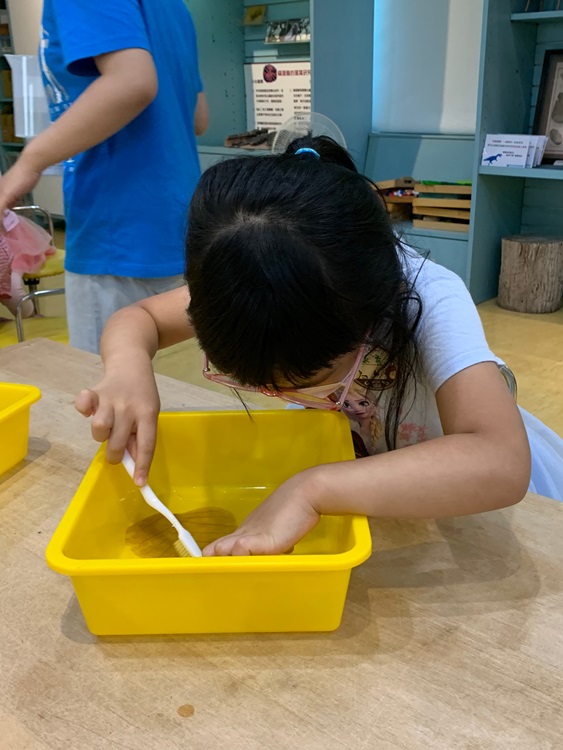幼兒園：綠葉仙蹤(8/4-5)-圖片51