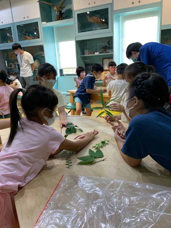 幼兒園：綠葉仙蹤(8/4-5)-圖片57