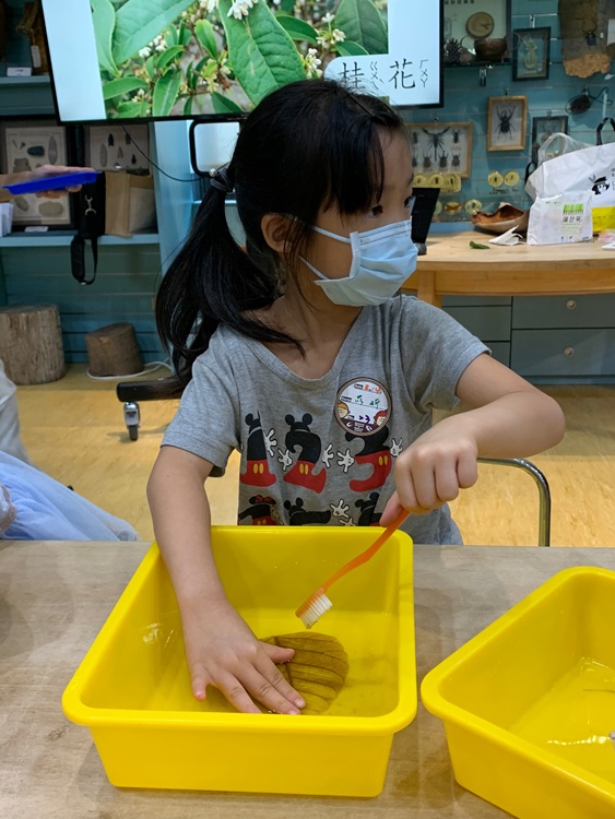 幼兒園：綠葉仙蹤(8/4-5)-圖片62