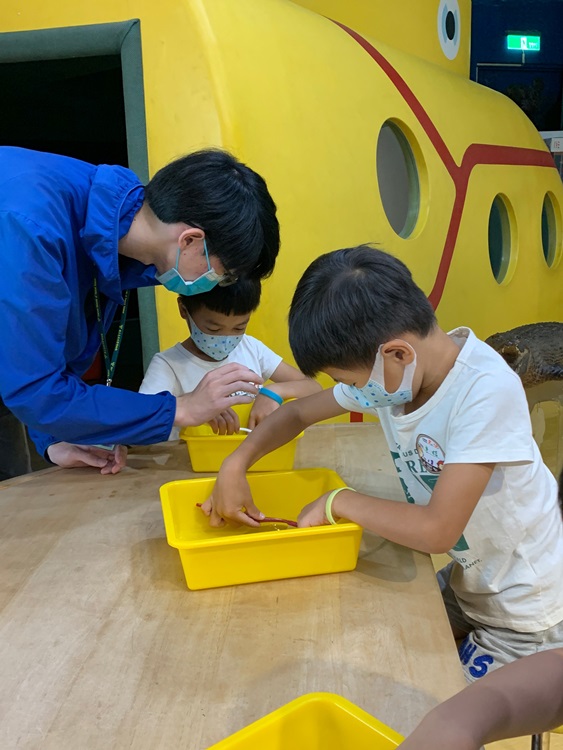 幼兒園：綠葉仙蹤(8/4-5)-圖片65