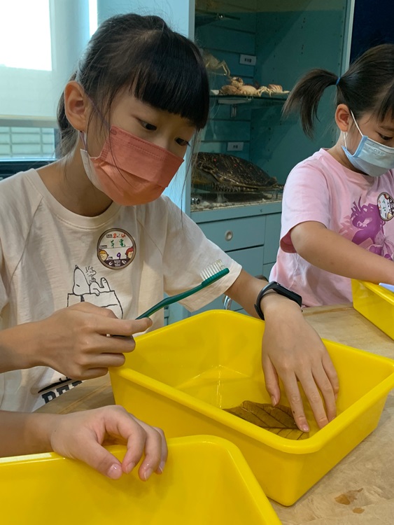 幼兒園：綠葉仙蹤(8/4-5)-圖片66