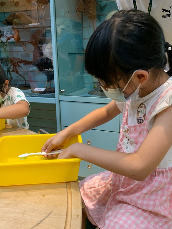 幼兒園：綠葉仙蹤(8/4-5)-圖片69