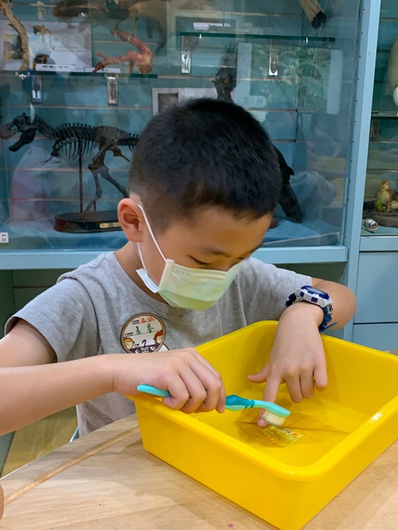 幼兒園：綠葉仙蹤(8/4-5)-圖片72