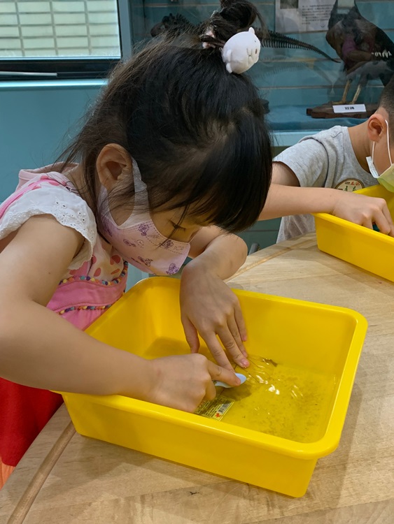 幼兒園：綠葉仙蹤(8/4-5)-圖片73