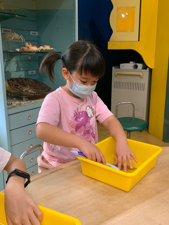 幼兒園：綠葉仙蹤(8/4-5)-圖片74