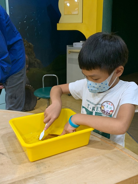幼兒園：綠葉仙蹤(8/4-5)-圖片77