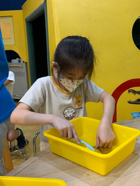 幼兒園：綠葉仙蹤(8/4-5)-圖片80