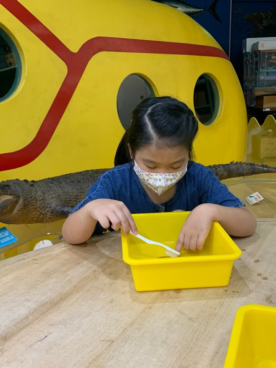 幼兒園：綠葉仙蹤(8/4-5)-圖片81