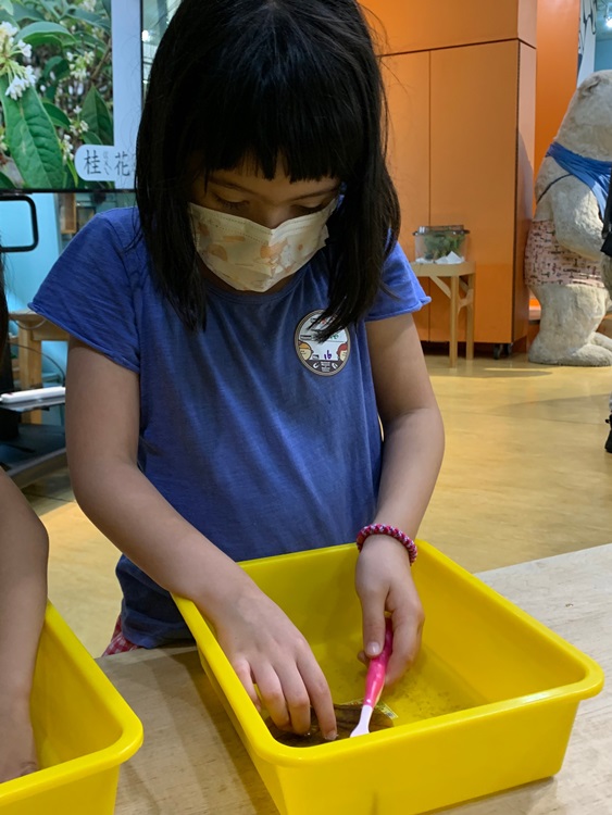 幼兒園：綠葉仙蹤(8/4-5)-圖片83